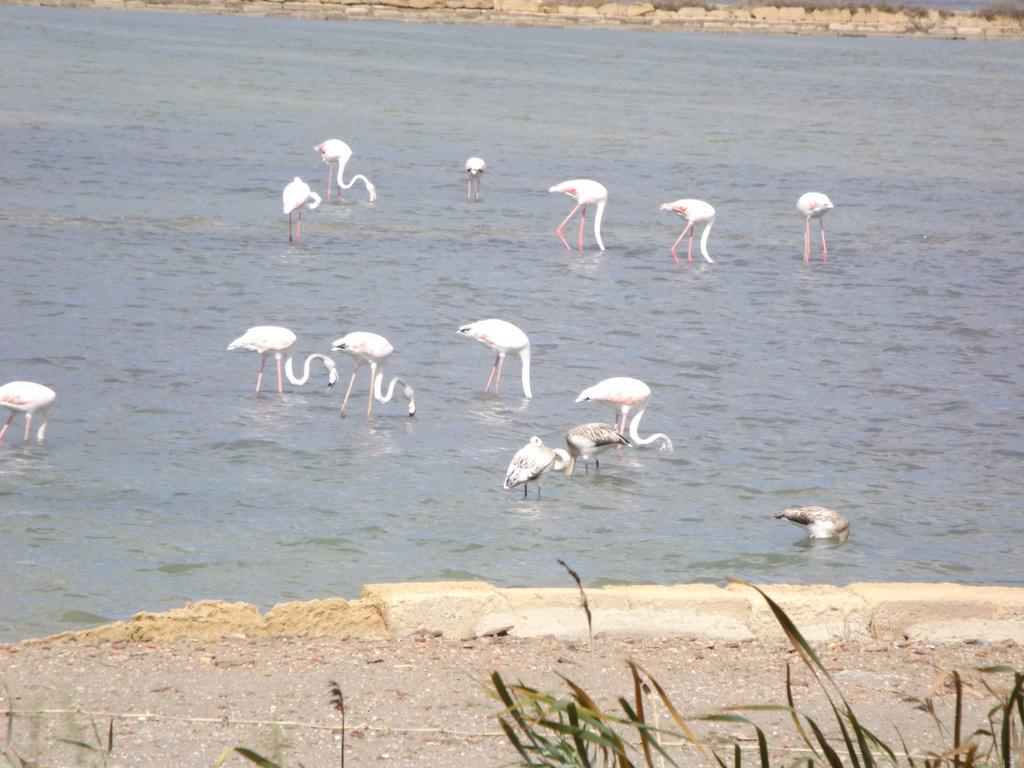 Case Vacanza Torre Lupa Marsala Pokoj fotografie